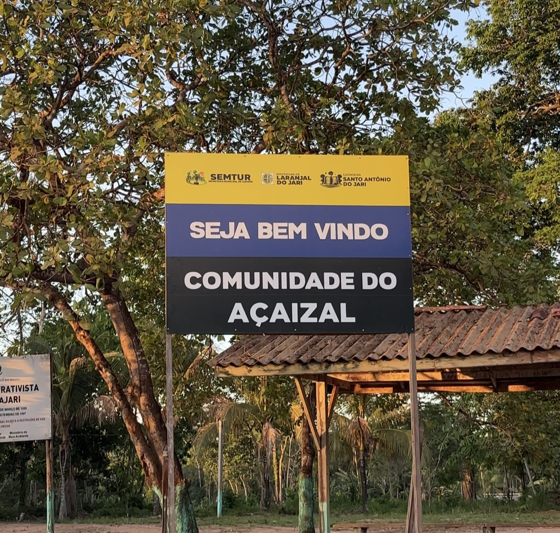 Colheita de Açaí no Açaizal