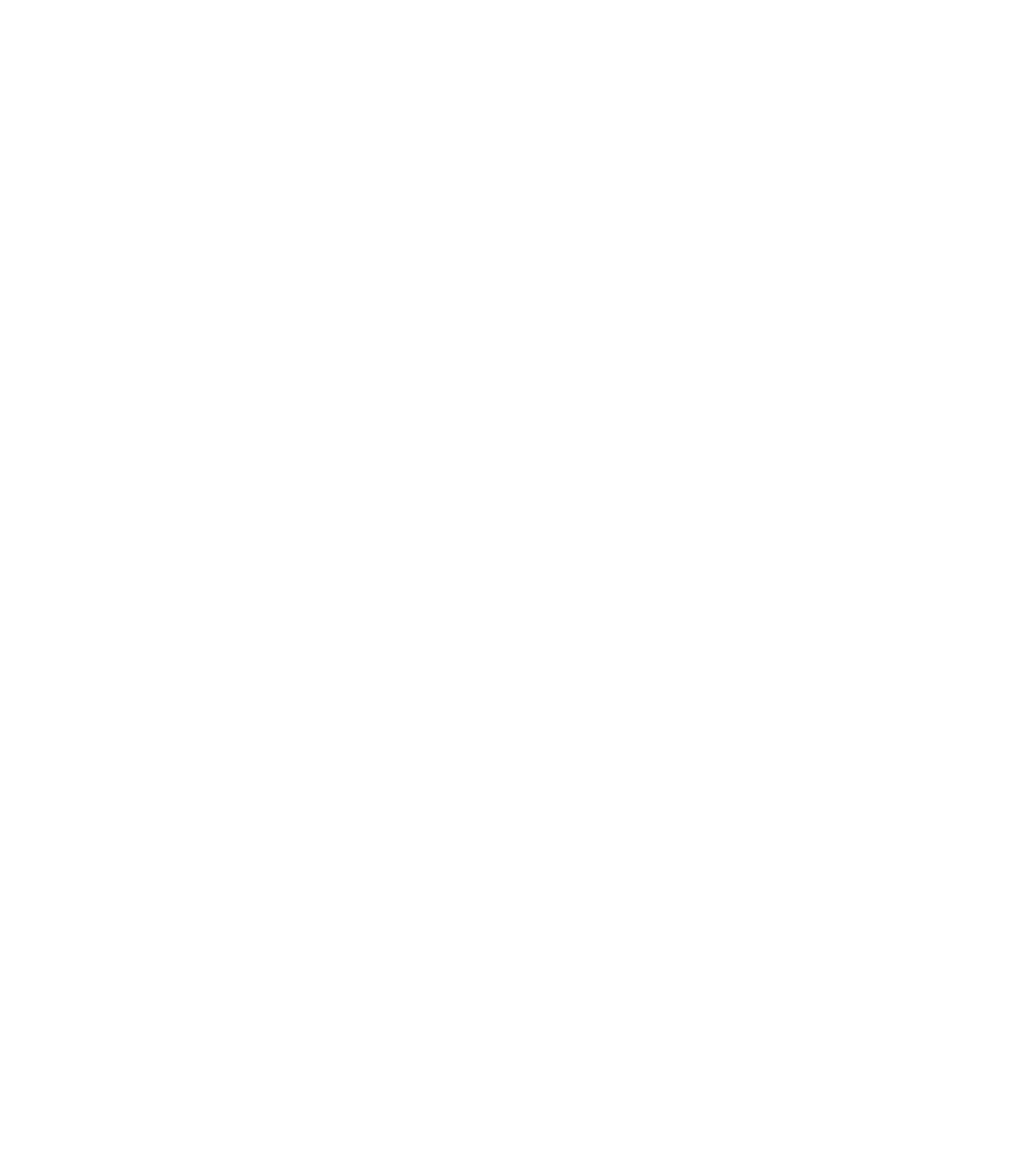 Logo Vale Trip Jari