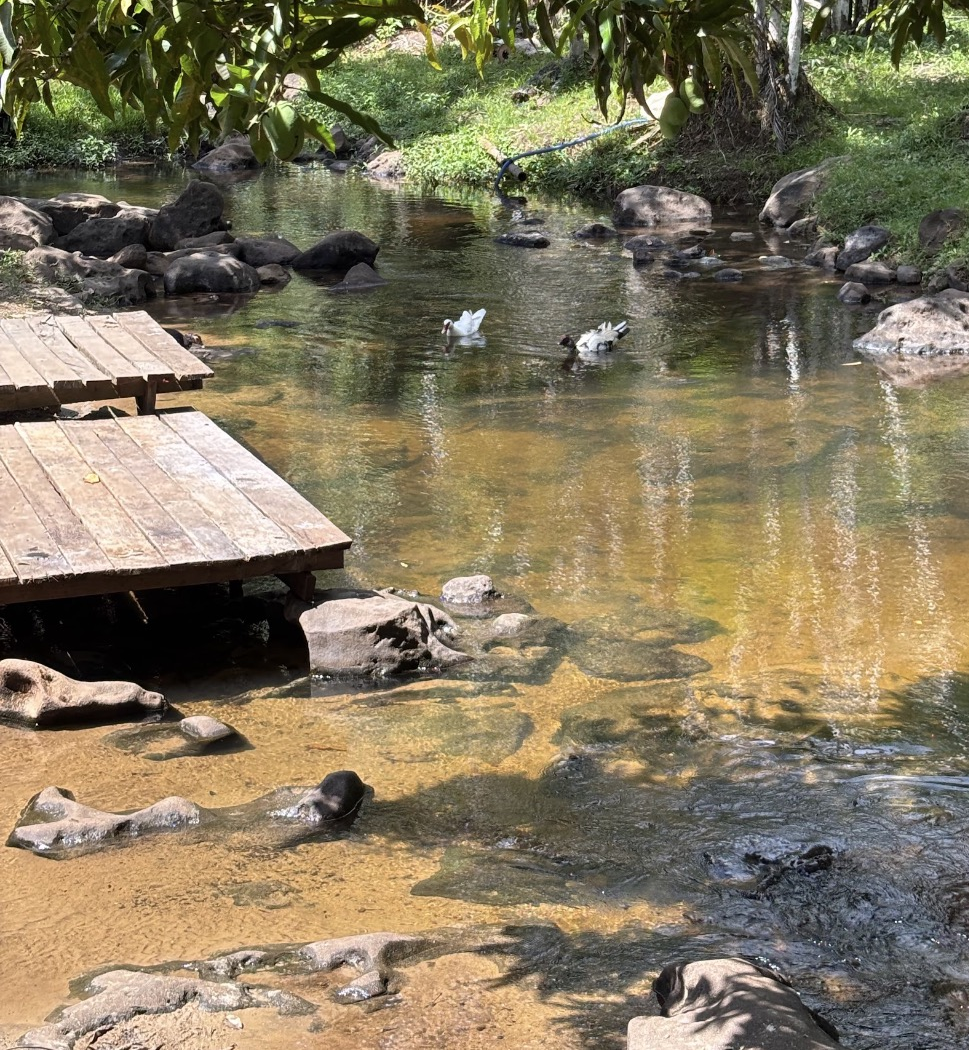 Comunidade do Marinho